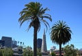 San Francisco, CA, USA - July 25, 2023: Cityscape of San Francisco with palms tree and Transamerica skyscraper