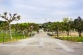 Landscape in Golden Gate Park, San Francisco Royalty Free Stock Photo