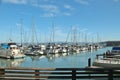 San Francisco, California -9/19/2017 - sailboats docked at a marina in San Francisco Bay area