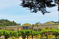 San Francisco, California Academy of Sciences, green roof, museum, California, United States of America, Usa Royalty Free Stock Photo