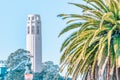 San Francisco, California, USA - October 16, 2021, coit tower framed by palm trees. Photo processed in pastel colors Royalty Free Stock Photo