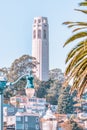 San Francisco, California, USA - October 16, 2021, coit tower framed by palm trees. Photo processed in pastel colors Royalty Free Stock Photo