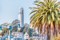 San Francisco, California, USA - October 16, 2021, coit tower framed by palm trees. Photo processed in pastel colors Royalty Free Stock Photo