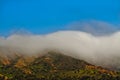 San Francisco California Winter Morning 2019 rolling fog Royalty Free Stock Photo