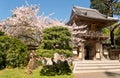 San Francisco City Japanese Tea Garden Royalty Free Stock Photo