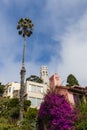 San Francisco cityscape - Telegraph Hill and Coit Tower. Royalty Free Stock Photo