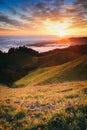 Beautiful sunset watch from Mount Tamalpais Royalty Free Stock Photo