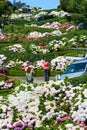 San Francisco Lombard Street Tourist Photos Royalty Free Stock Photo