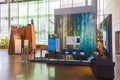 Interior view of the California Academy of Sciences Royalty Free Stock Photo