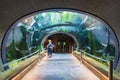 Interior view of the California Academy of Sciences Royalty Free Stock Photo