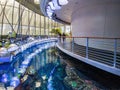 Interior view of the California Academy of Sciences Royalty Free Stock Photo
