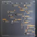 Human evolution family tree chart Royalty Free Stock Photo