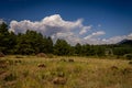 San Francisco Peaks area near Flagstaff, Arizona