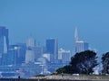 San Francisco Skyline on a Hazy Day Royalty Free Stock Photo