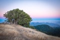 San Francisco from Tamalpais mountain