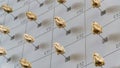 Close up of animal skulls on the wall of California Academy of Sciences Museum in San Francisco Royalty Free Stock Photo