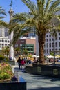 San Francisco, USA - July 05, 2019, view of Union Square, in San Francisco, in the foreground a palm tree, in the background Royalty Free Stock Photo