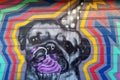 San Francisco, USA - September 6, 2018: Street art graffiti and murals on the streets of San Francisco, California Royalty Free Stock Photo