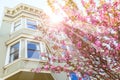 San Francisco Victorian houses California Royalty Free Stock Photo