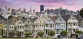 San Franciso Skyline and the Painted Ladies Royalty Free Stock Photo