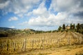 San Gimignano medieval town towers skyline and countryside landscape panorama. Tuscany, Italy, Europe. Royalty Free Stock Photo