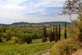 San Gimignano, Tuscany, Italy - hills, vineyards and views of San Gimignano `medieval Manhattan` . Royalty Free Stock Photo