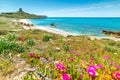 San Giovanni di Sinis shoreline in springtime