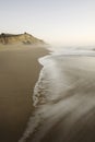 San Gregorio Beach with Bird Tracks