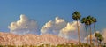 San jacinto mountain, palm springs, california Royalty Free Stock Photo