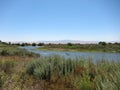 San Joaquin River, California Royalty Free Stock Photo