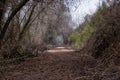 San Joaquin River National Park walkway with tree branches Royalty Free Stock Photo