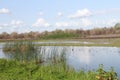 San Joaquin Wildlife Preserve California