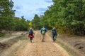 San Juan de Ortega, Spain - Three Pilgrims Hiking through a Forest along the Way of St James Camino de Santiago