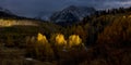 San Juan Mountains In Autumn, near Ridgway Colorado - Dallas Creek West off Highway 62 to Telluride, Colorado - Aspen Color autumn Royalty Free Stock Photo