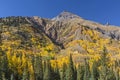 San Juan Mountains Golden Aspens