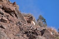 San Juan Mountains in southern Colorado Royalty Free Stock Photo