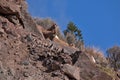 San Juan Mountains in southern Colorado Royalty Free Stock Photo