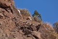 San Juan Mountains in southern Colorado Royalty Free Stock Photo