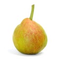 San Juan pear, typical of Spain Royalty Free Stock Photo