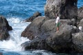 SAN JUAN, TENERIFE/SPAIN - JANUARY 18, 2015 : Man fishing in Cal