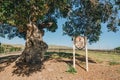 Laetitia Vineyard and Winery in San Luis Obispo County, California Central Coast Royalty Free Stock Photo