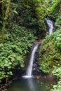 San Luis waterfall in a cloud forest of Reserva Biologica Bosque Nuboso Monteverde, Costa Ri