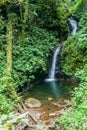 San Luis waterfall in a cloud forest of Reserva Biologica Bosque Nuboso Monteverde, Costa Ri