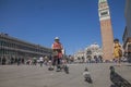 San Marco Square, Venice, Italy - walking pigeons. Royalty Free Stock Photo