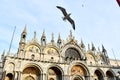 san marco square in venice, photo as a background