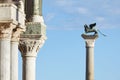 San Marco winged Lion statue on column, symbol of Venice, Italy Royalty Free Stock Photo