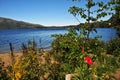 san martin de los andes, neuquen argentina-landscape with trees flowers and sky Royalty Free Stock Photo