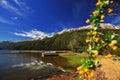 san martin de los andes, neuquen argentina-landscape with trees flowers and sky background with snowy argentina Royalty Free Stock Photo