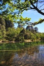 picturesque and exotic landscapes of lake and mountains blue sky san martin de los andes. lakar lake in summer patagonia Royalty Free Stock Photo