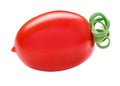 San Marzano one tomato. Single plum cherry juicy tomatoes isolated on white. Italian fresh vegetables. Organic raw vegan